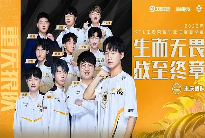 的关键变量 的关键变量